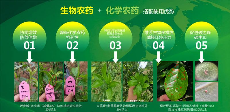 新朝陽在第六屆中國農(nóng)藥行業(yè)市場(chǎng)和銷售高峰論壇做“生物農(nóng)藥+化學(xué)農(nóng)藥，引領(lǐng)植保市場(chǎng)未來”主題報(bào)告