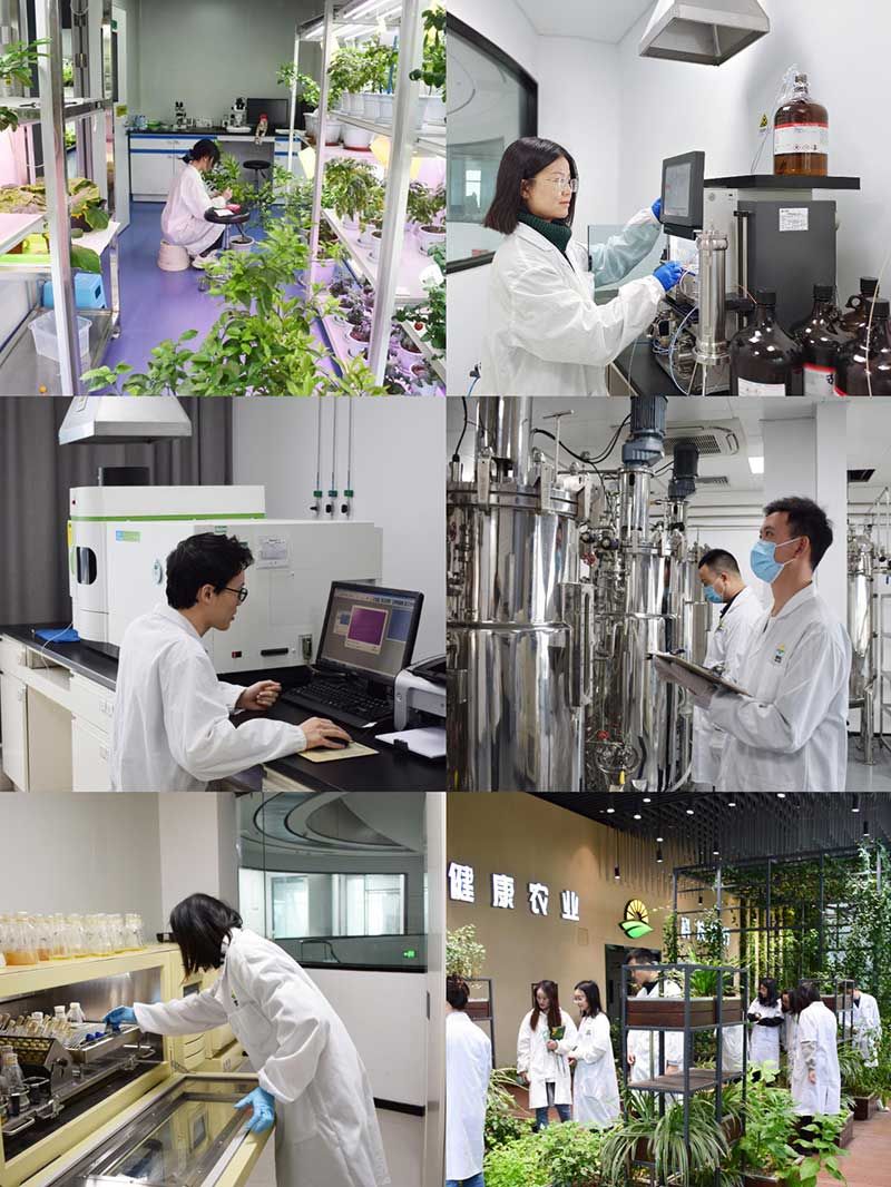 “全國科技工作者日”：推動農(nóng)業(yè)綠色高質(zhì)量發(fā)展，新朝陽科研人在路上