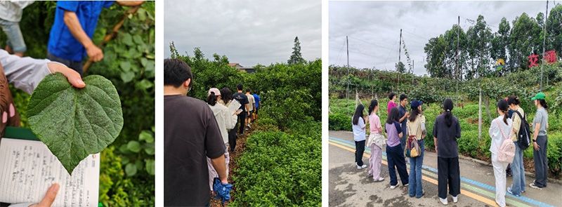 首個(gè)！中國農(nóng)業(yè)大學(xué)攜手新朝陽啟動(dòng)“朝陽稼穡計(jì)劃”